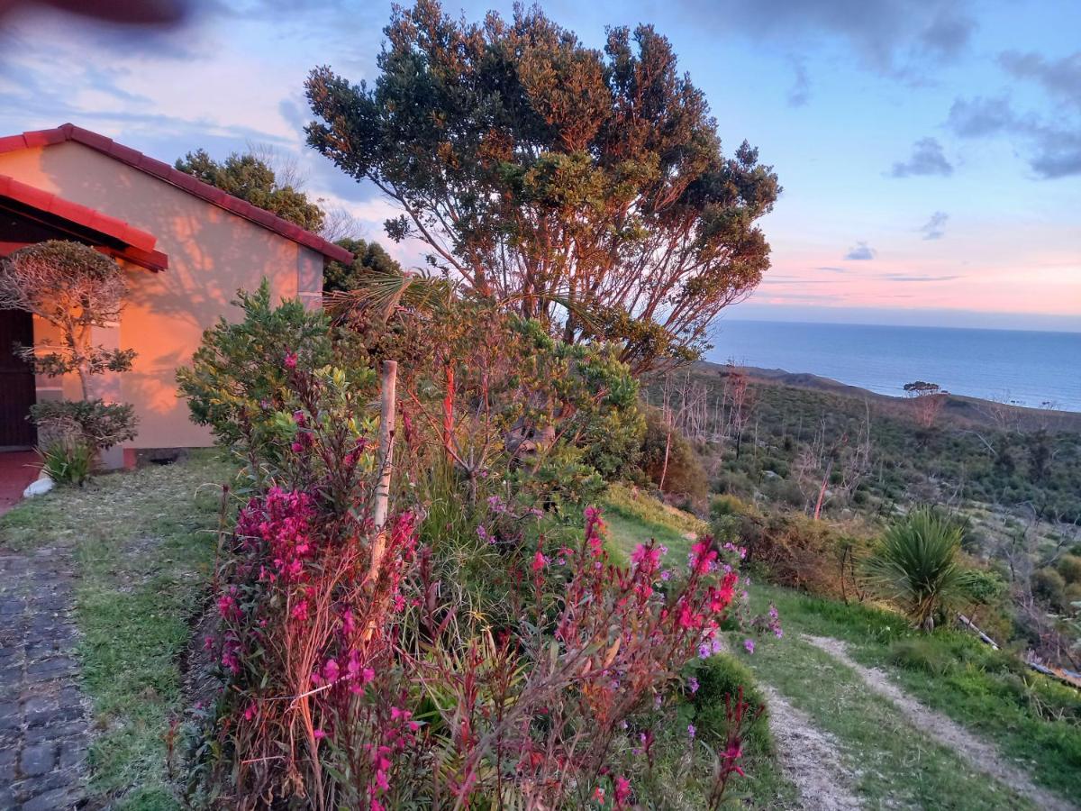 110 Bay View Leilighet Brenton-on-Sea Eksteriør bilde